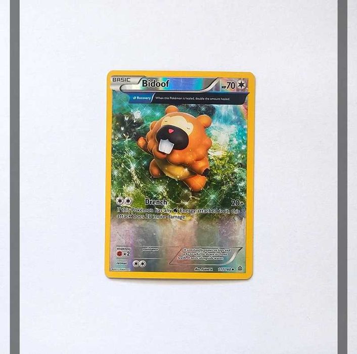 Bidoof 117/160 PRC Pokemon ENG-NM