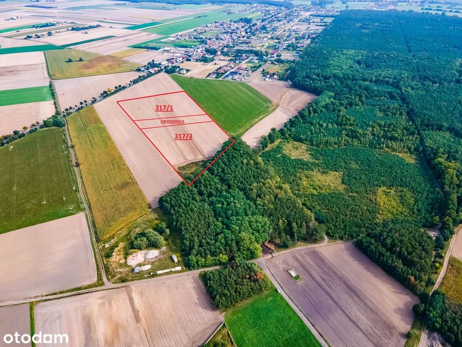 Działka usługowo produkcyjna przy obwodnicy Kościana