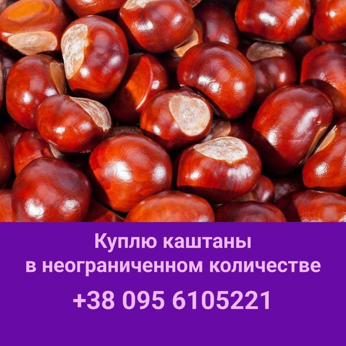 Каштаны от населения
