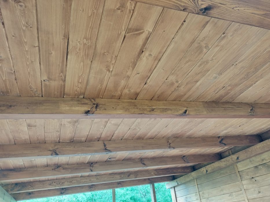 Podbitka świerkowa  15 mm - 2 gatunek