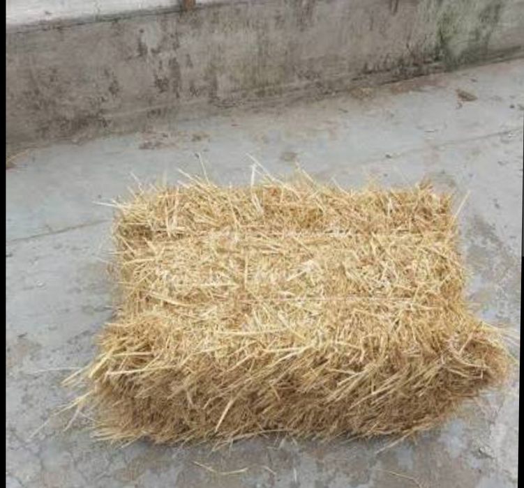 Sprzedam tegoroczną słomę