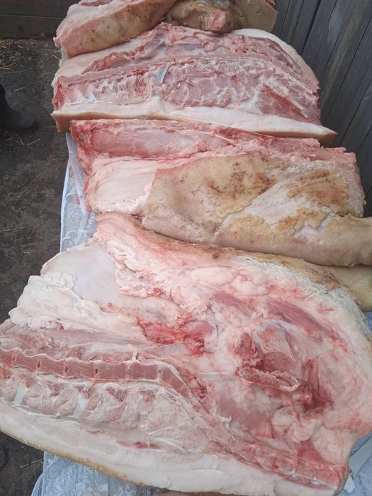 Продам домашня свинина