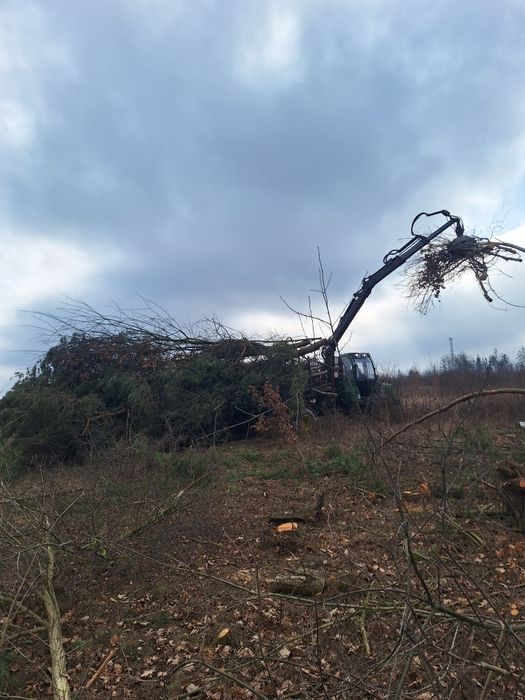 Wycinka lasów samosiewów mulczer czyszczenie dzialek skup zrębki