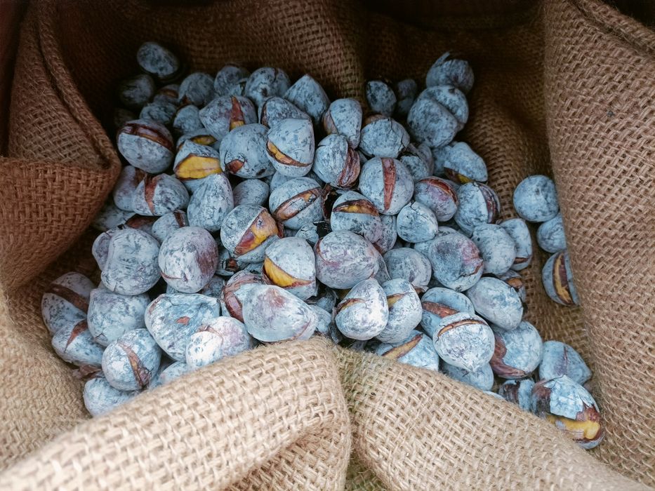 Assador de castanhas