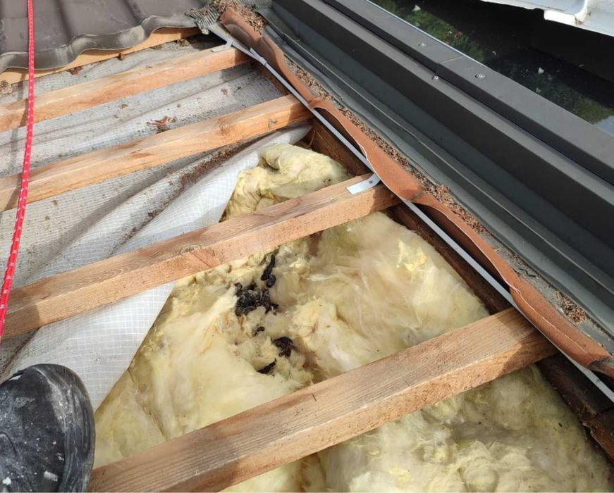 Naprawa dachu po kunie, naprawa izolacji po kunie, ocieplanie celulozą