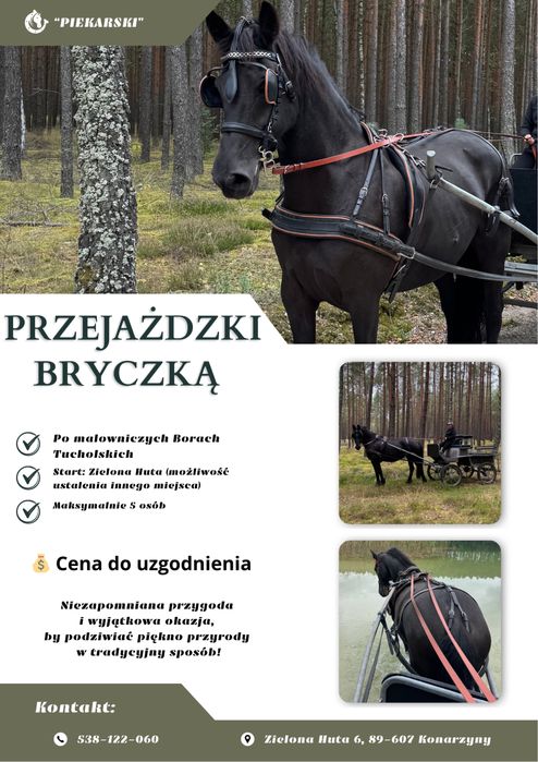 Przejażdzka bryczką