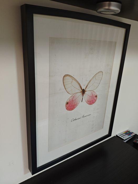 Quadros  pretos do Ikea