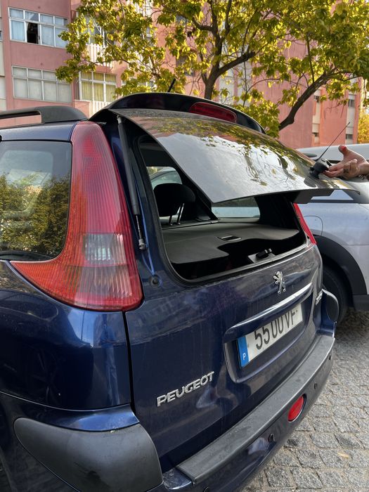 Peugeot 206 SW ColorLine