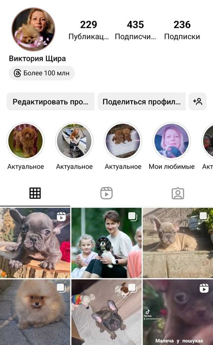 Суперові дівчатка .Французький бульдог.