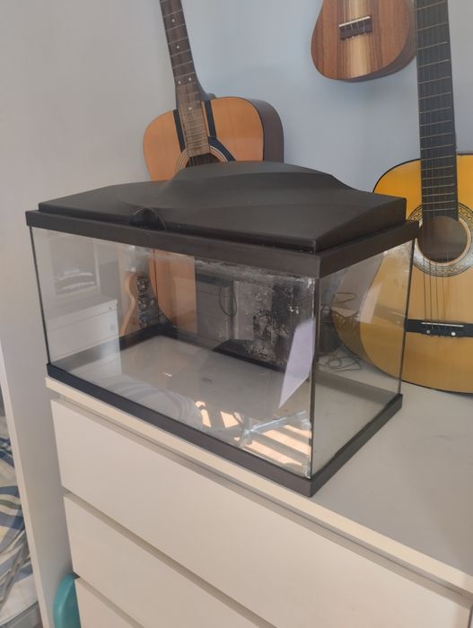 Aquario com tampa e luz