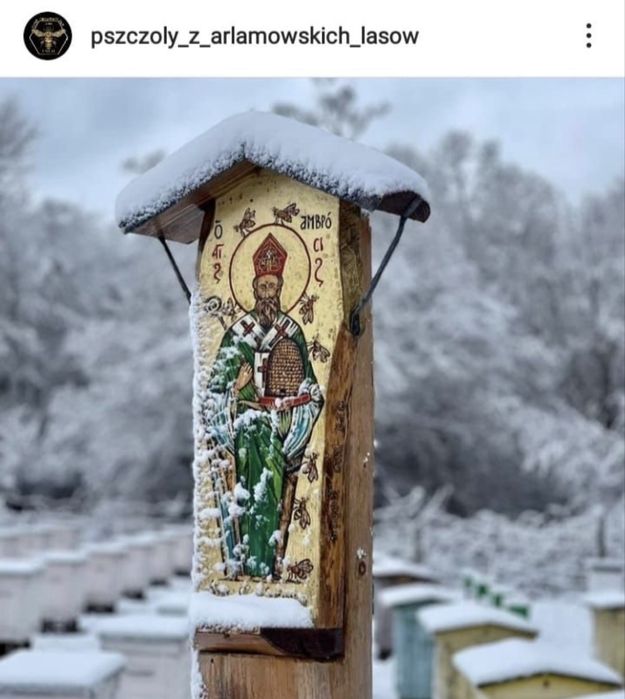 Miód nektarowy-leśny                             1 x słoik 1250g/900ml