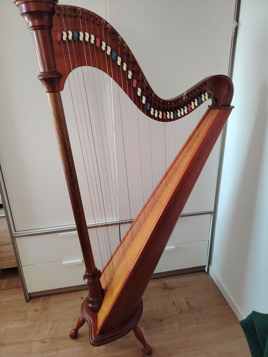 Harfa camac haczykowa dla dziecka do szkoły