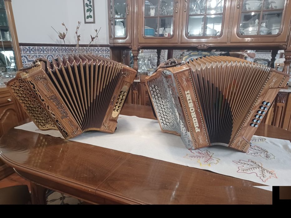 Vendo uma das minhas duas concertinas Pedrosini, ou Recanati à 4a vós afinadas em Sol Do  Fá. Com mala de transporte