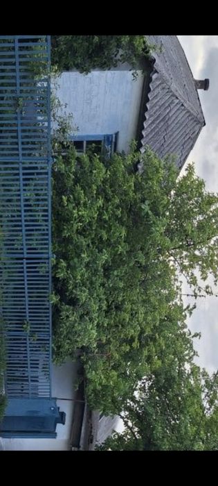 Продам газифицированный дом Диёвка-1
