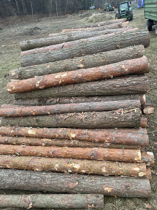 Drewno sosna S2B paletówka