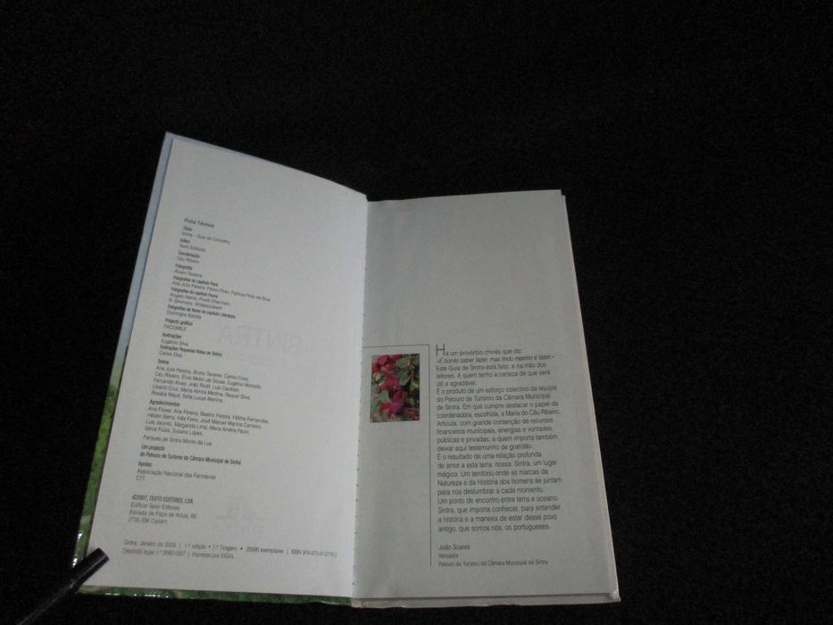 Livro Sintra Guia do Concelho Céu Ribeiro 1ª edição 2008