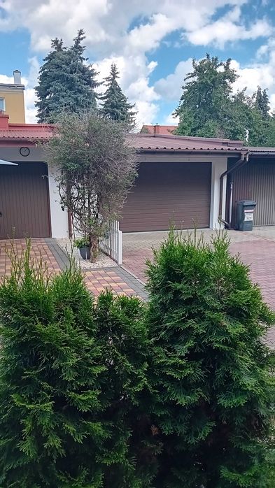 Zdjęcie 8