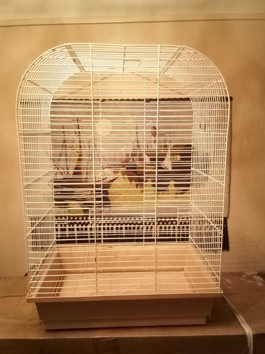 Клітка для папуги більша