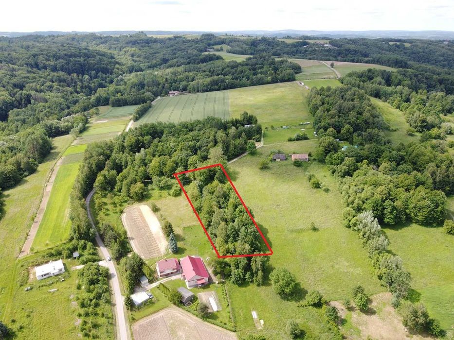 Sprzedam działkę ze starym domem Błędowa Tyczyńska - Widok 2