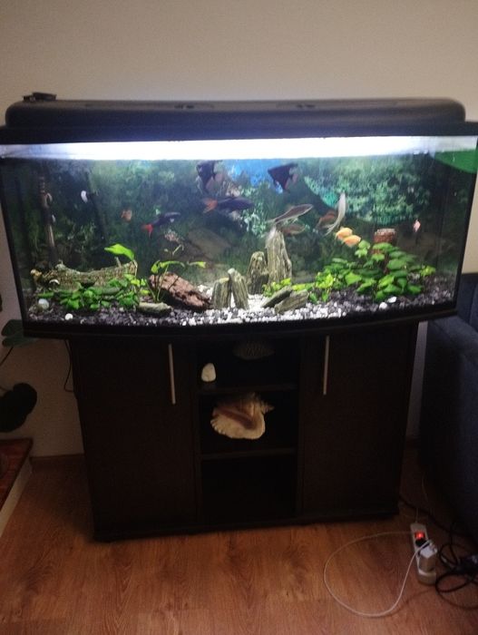 Akwarium Komplet