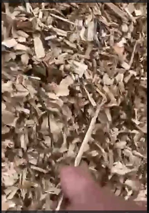Щепа дерев'яна для опалення