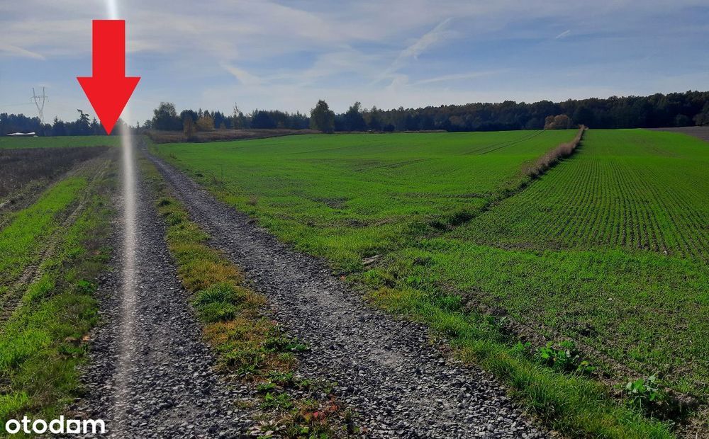 Działka budowlana 3300m2. piękna okolica i widoki.