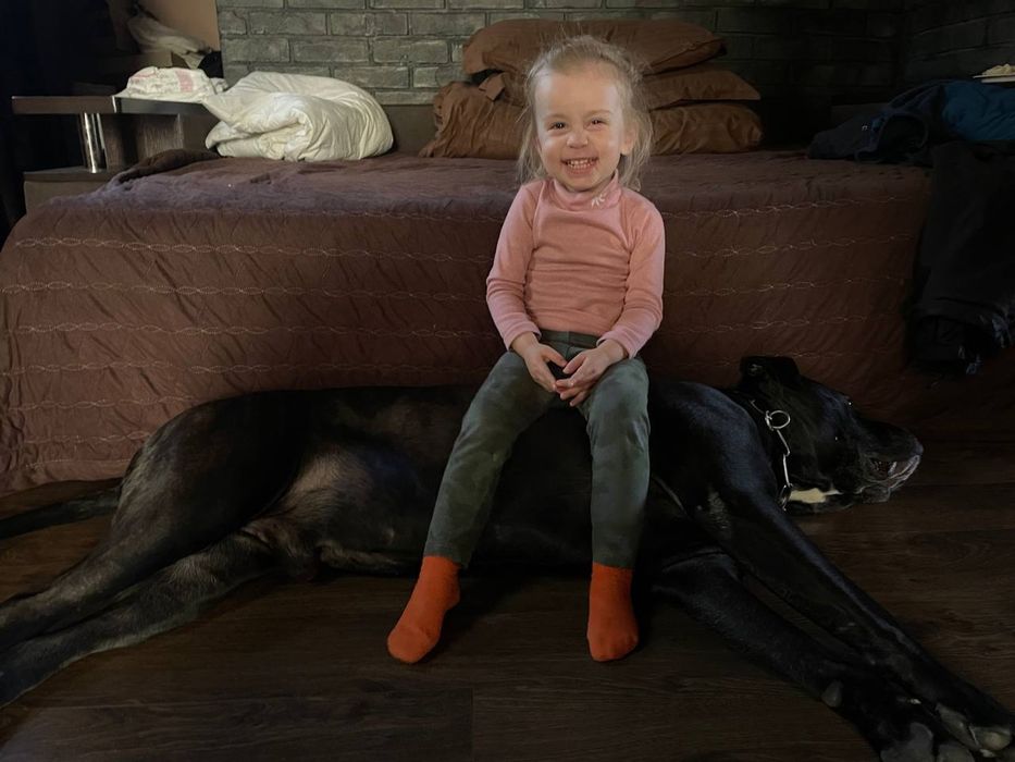 Кобель для вязок