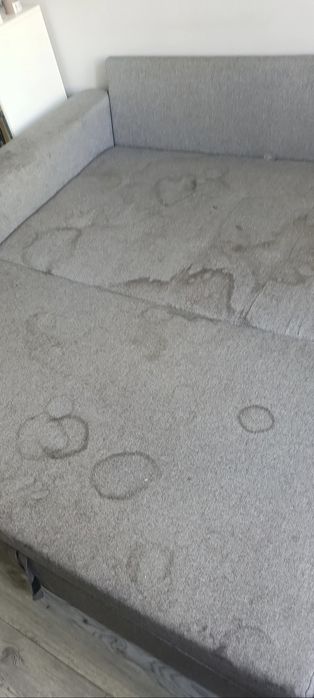 Pranie samochodu/tapicerki