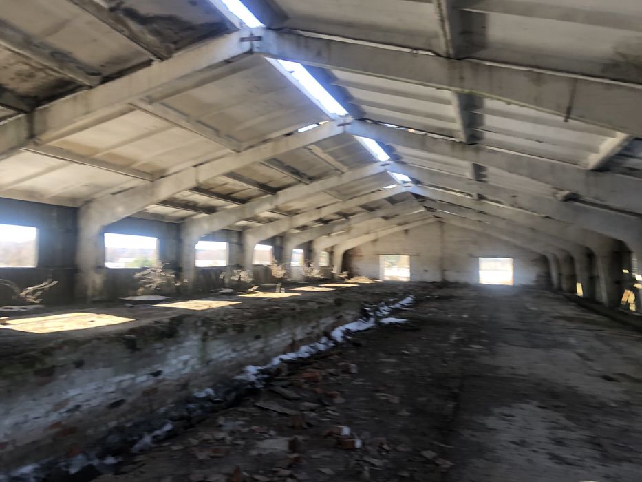 Клюшечник, зерносклад, ангар.