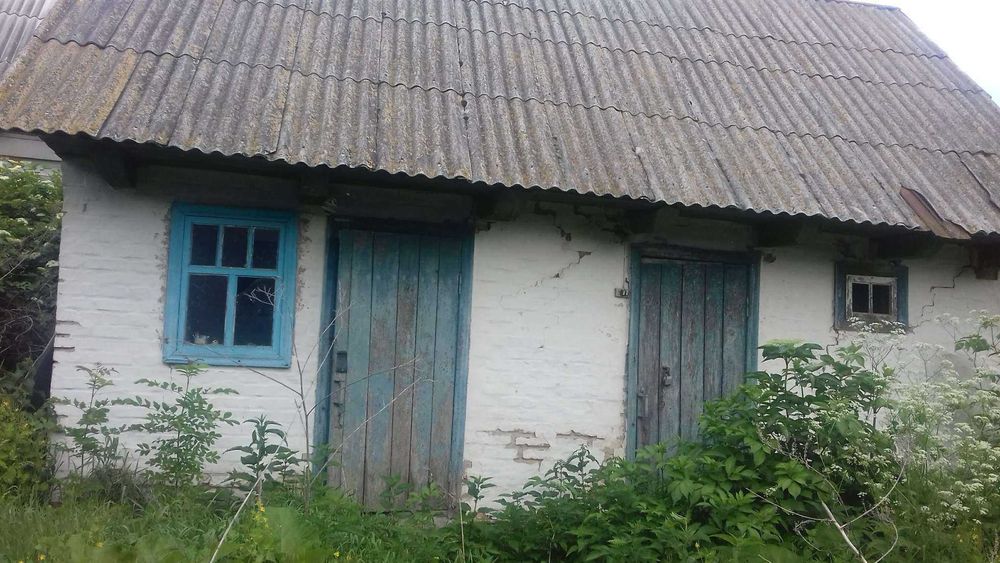 Продам СВІЙ будинок з ділянкою 33 сотки в с. Логвин, Київська область - View 5