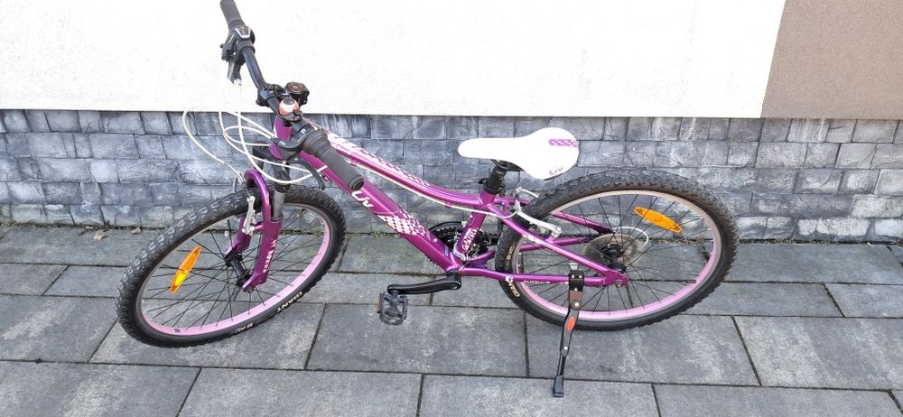 Rower giant live enchant 24"