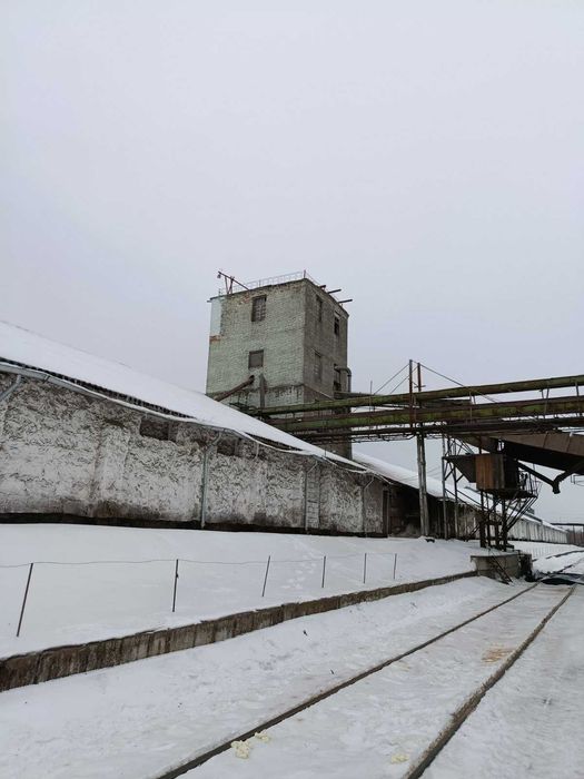 Продаж елеваторного комплексу ТОВ «ТАС АГРО ЦЕНТР» (с. Ольшаниця)