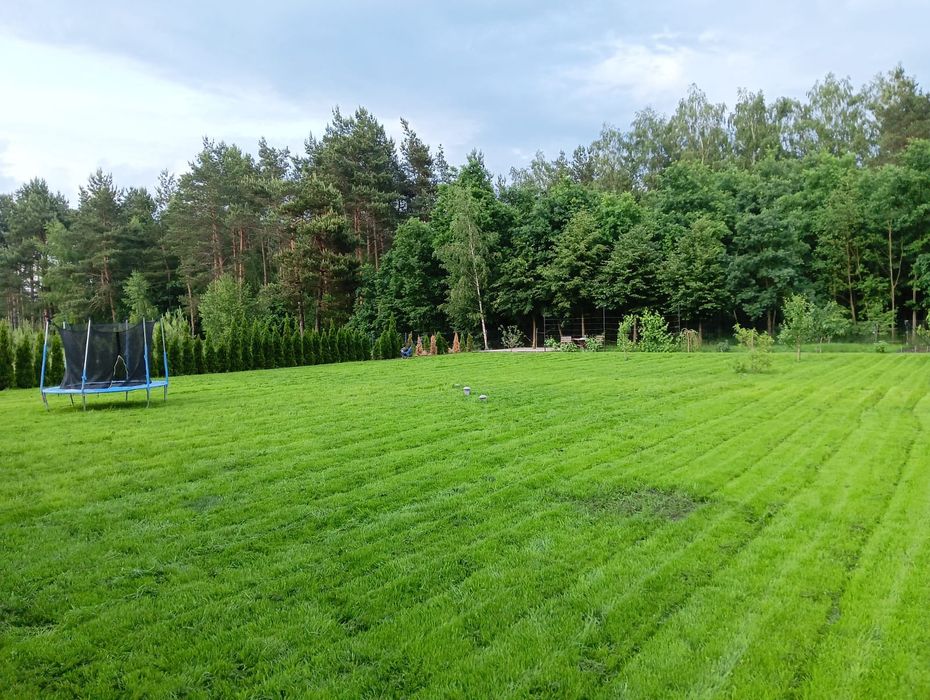 Zakładanie i piegnacja ogrodów, usługi brukarskie