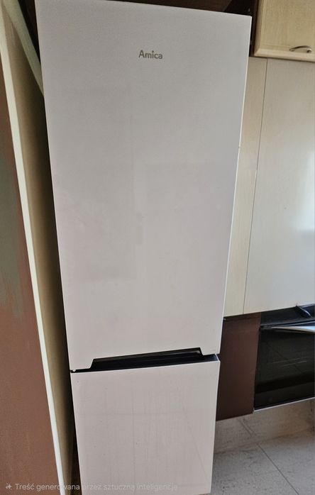 Lodówka Amica FK2515 170 cm
