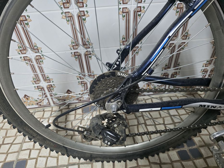 Bicicleta Minali