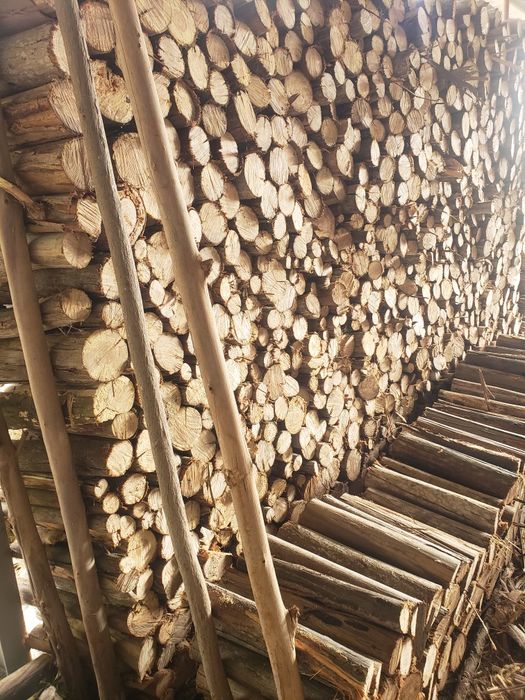 Vende-se Lenha de Eucalipto/Eucalyptus Firewood For Sale