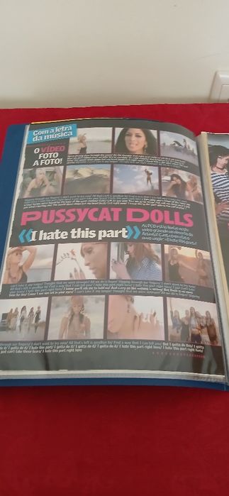 Dossier Pussycat Dolls, novo