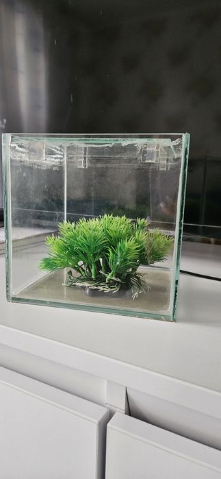 Акваріум куб 15*15*15
