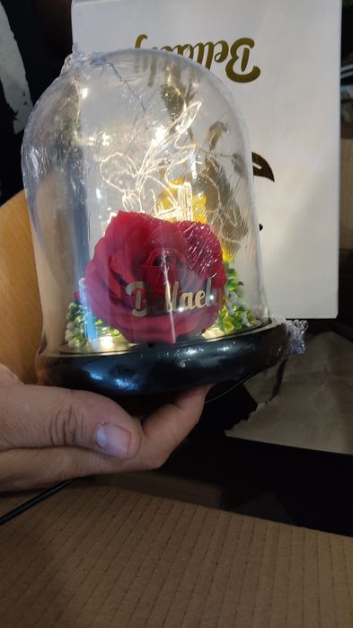 Rosa redoma led principezinho bela monstro luz presença iluminada