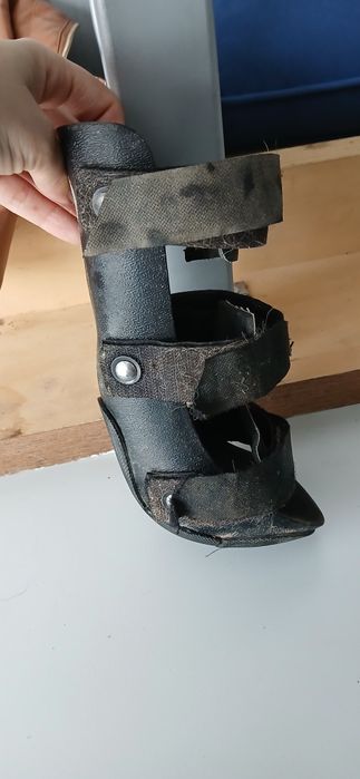 Tala ortopédica para cão