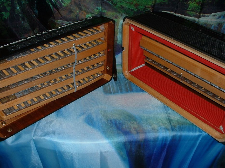 Acordeão Avenda G, .36