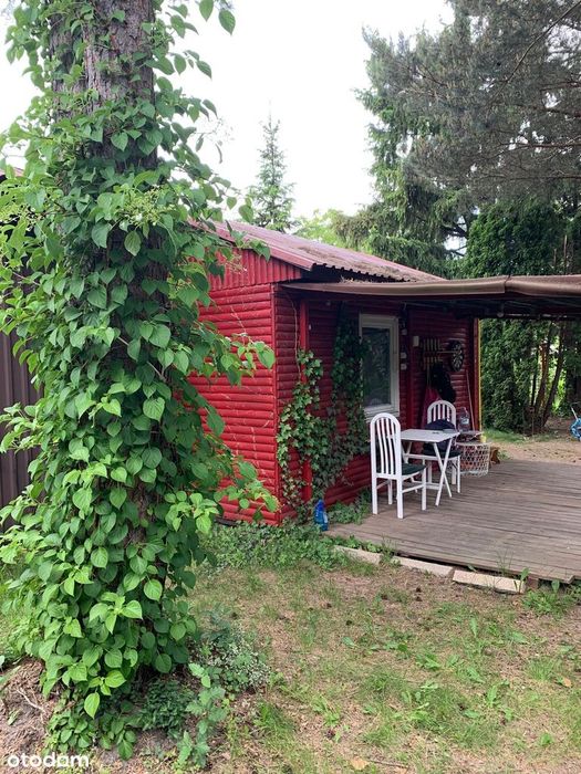ROD Łączka Zajączka - działka 460 m² - prawa do użytkowania - Widok 2
