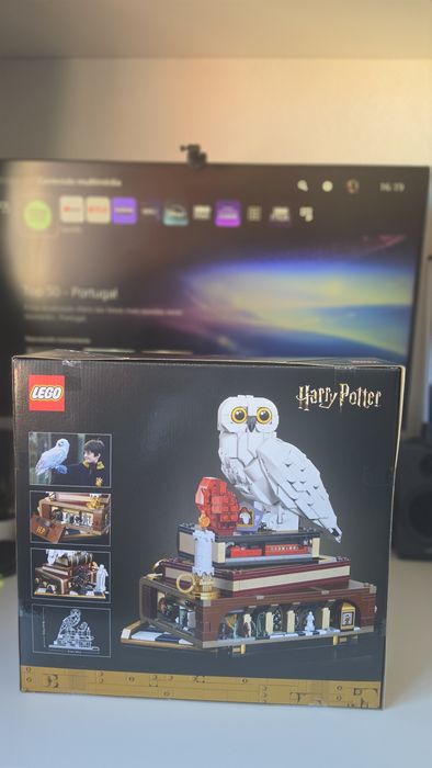 Lego Harry Potter 76419 e 76466
