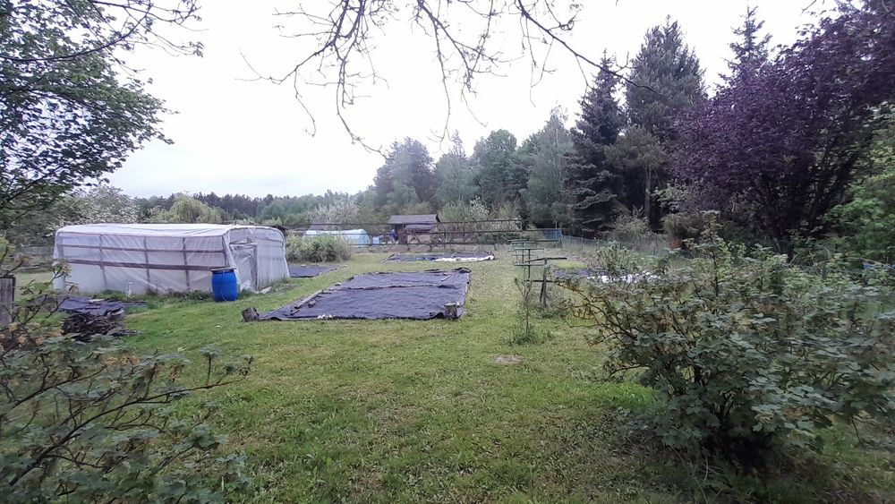 Dzialka ROD 1020 m² w Styrzyńcu - Widok 5