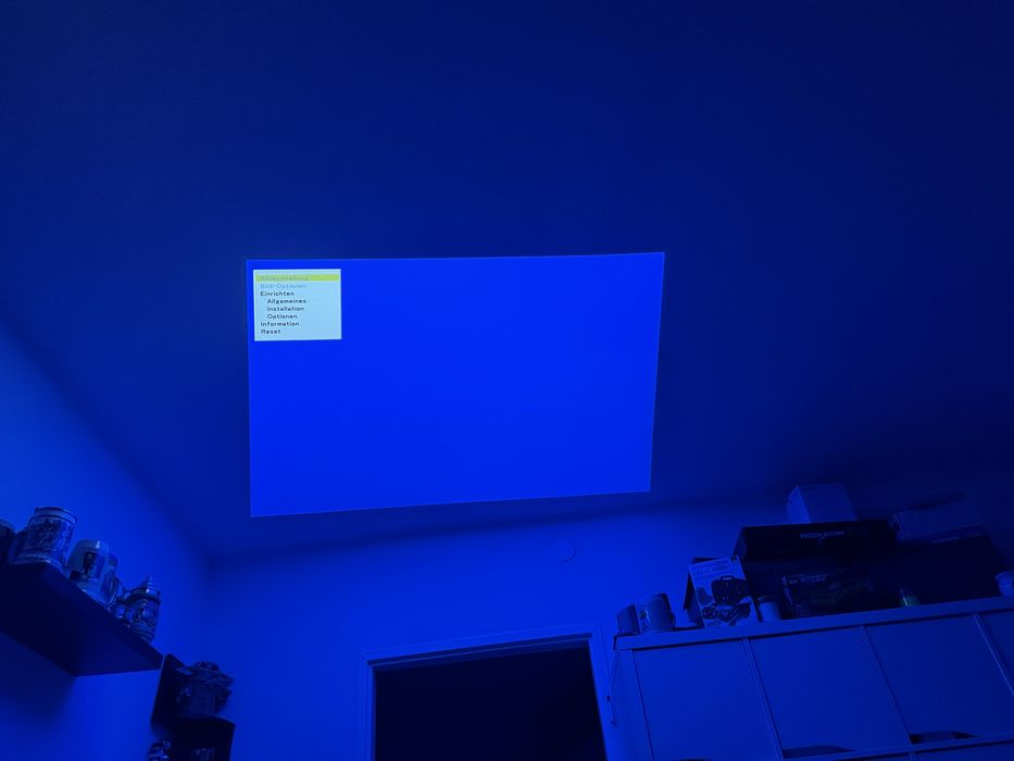 Projektor NEC NP40G