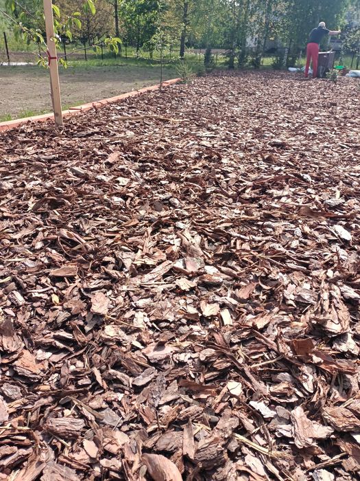 PRODUCENT.Kora sosnowa 80 L , Darmowa dostawa