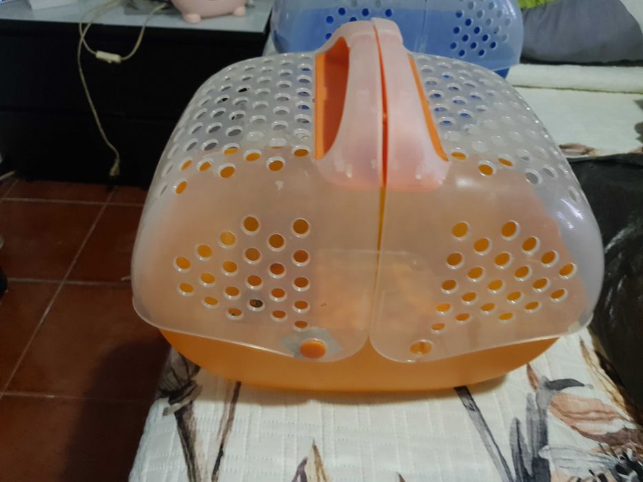 Acessórios animais