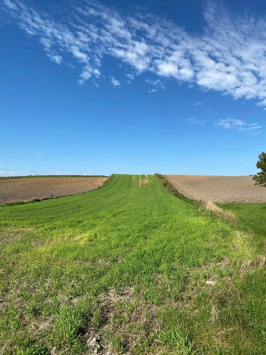Działka z warunkami zabudowy 2500m2