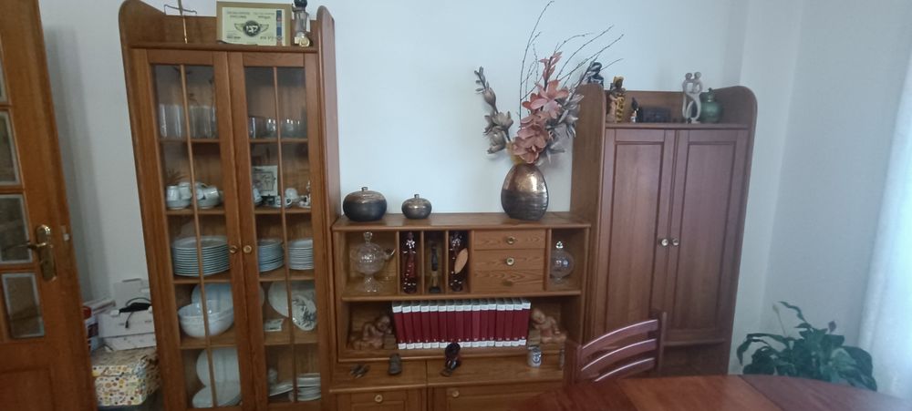 Móveis  sala conjunto completo  100,00€ ou venda por  módulos a 40,00€ cada