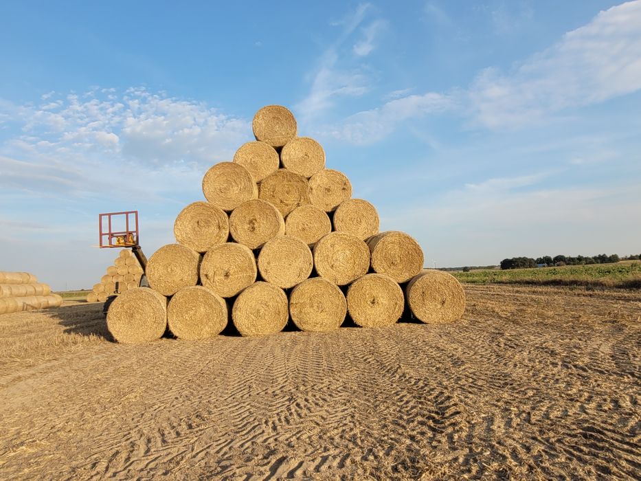 Słoma siano 2025 pasza